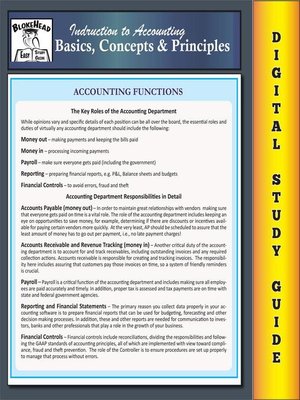 cover image of Accounting Basics, Concepts & Principles (Blokehead Easy Study Guide)